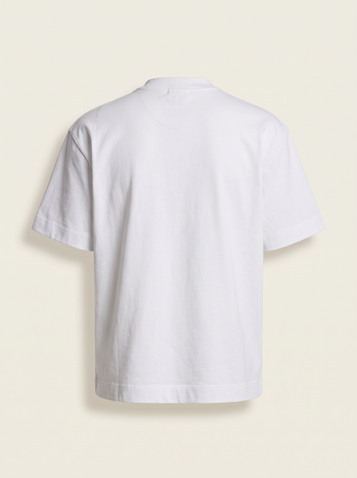 HEAVYWEIGHT T-SHIRT - LES DEUX – WHITE - Ghost Back