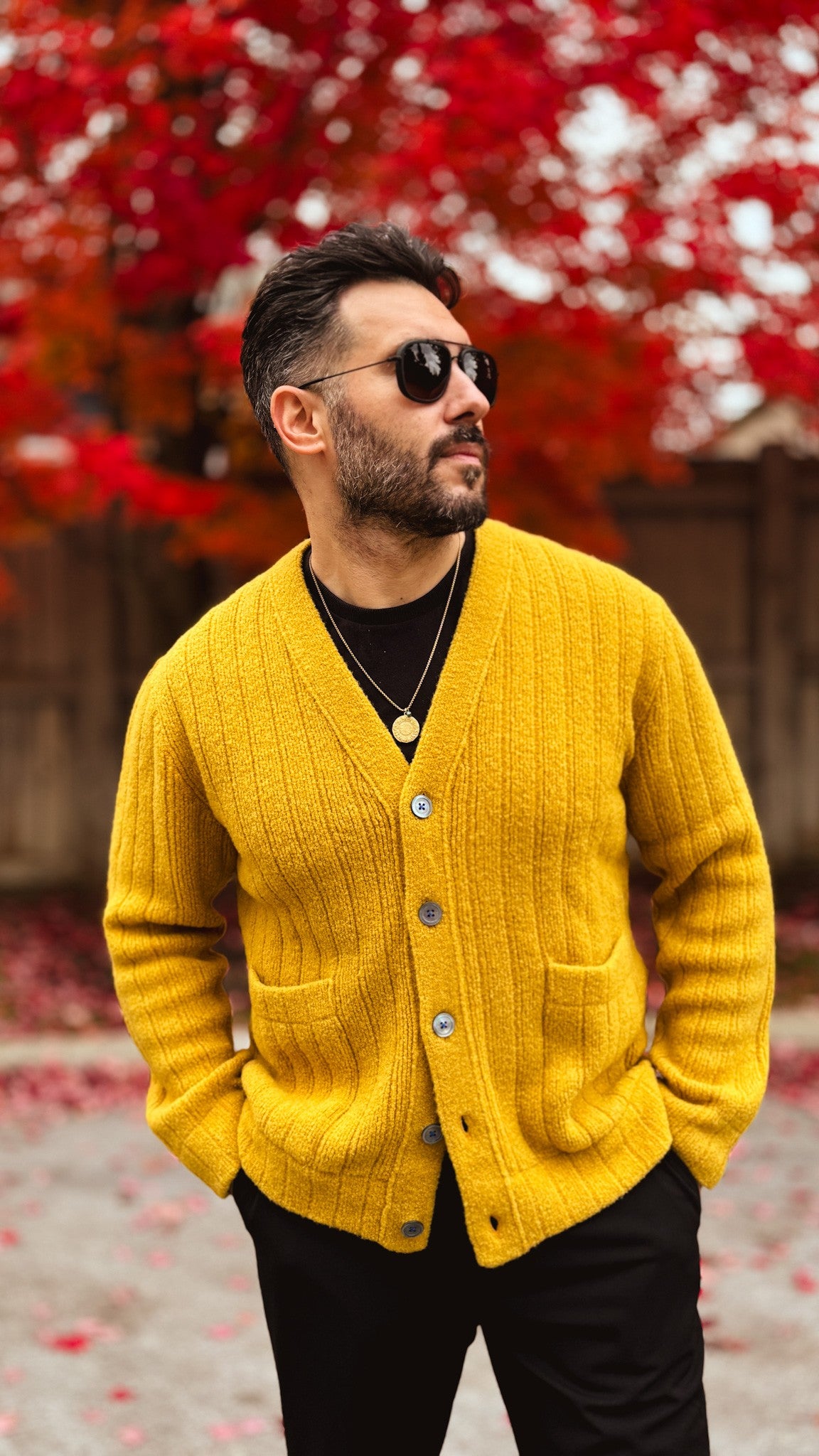 grafic Home page hero banar image