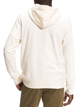 Load image into Gallery viewer, SLEEVE HIT HOODIE - THE NORTH FACE
