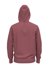 Load image into Gallery viewer, SLEEVE HIT HOODIE - THE NORTH FACE
